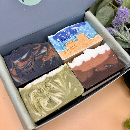 Five different colored soap bars in a box with a plant in the background