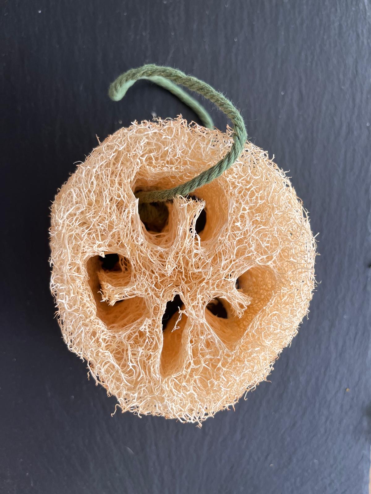 Natural Loofah Exfoliating Sponge
