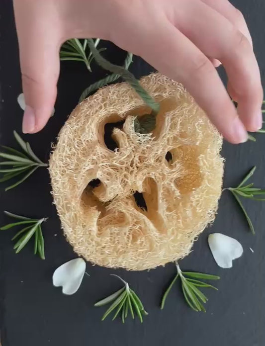 Natural Loofah Exfoliating Sponge